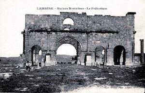 ALGERIE-RUINES ROMAINES DE LAMBESE (17)